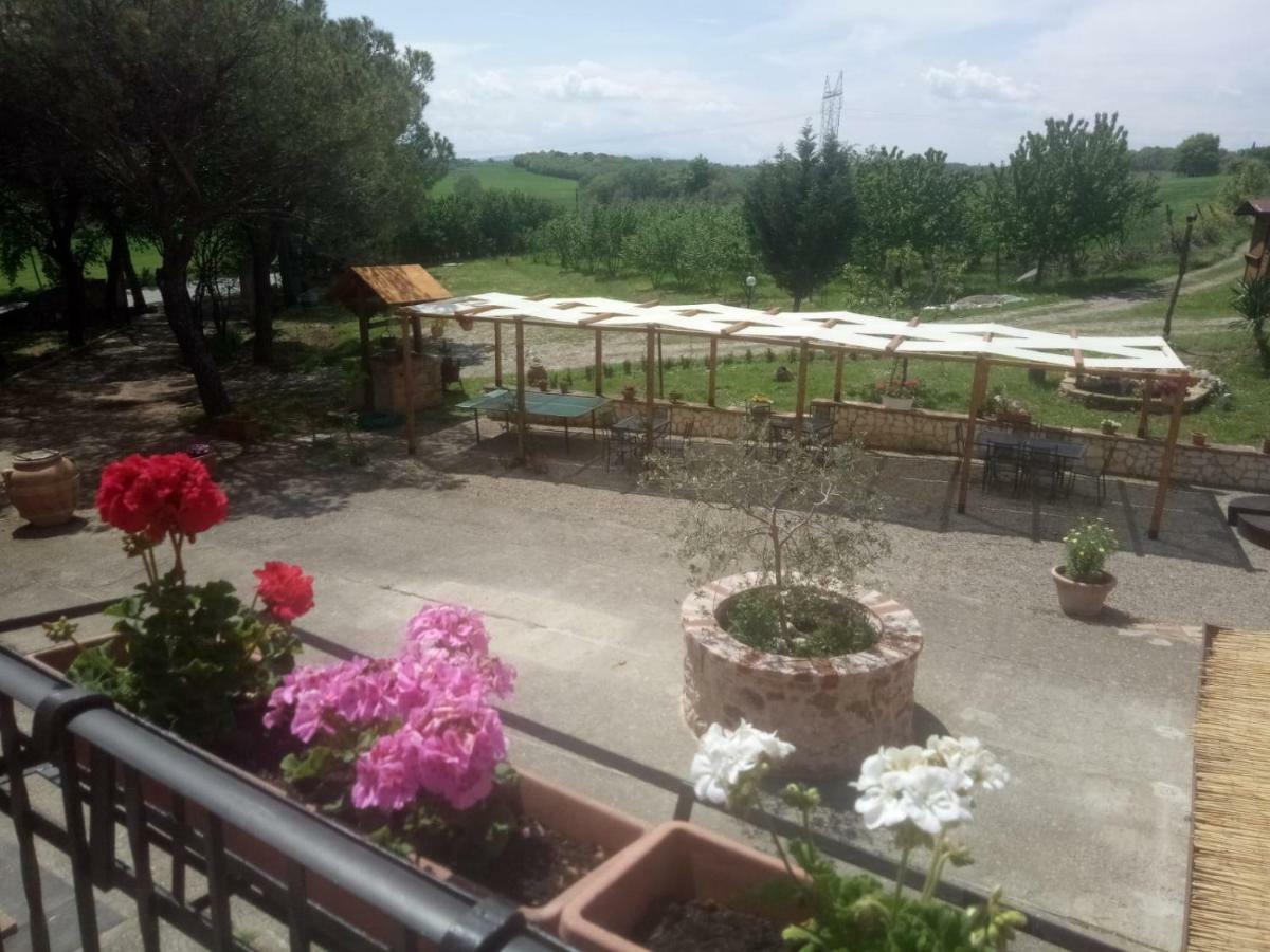 Agriturismo Colle Al Sole Appartement Castiglione del Lago Buitenkant foto